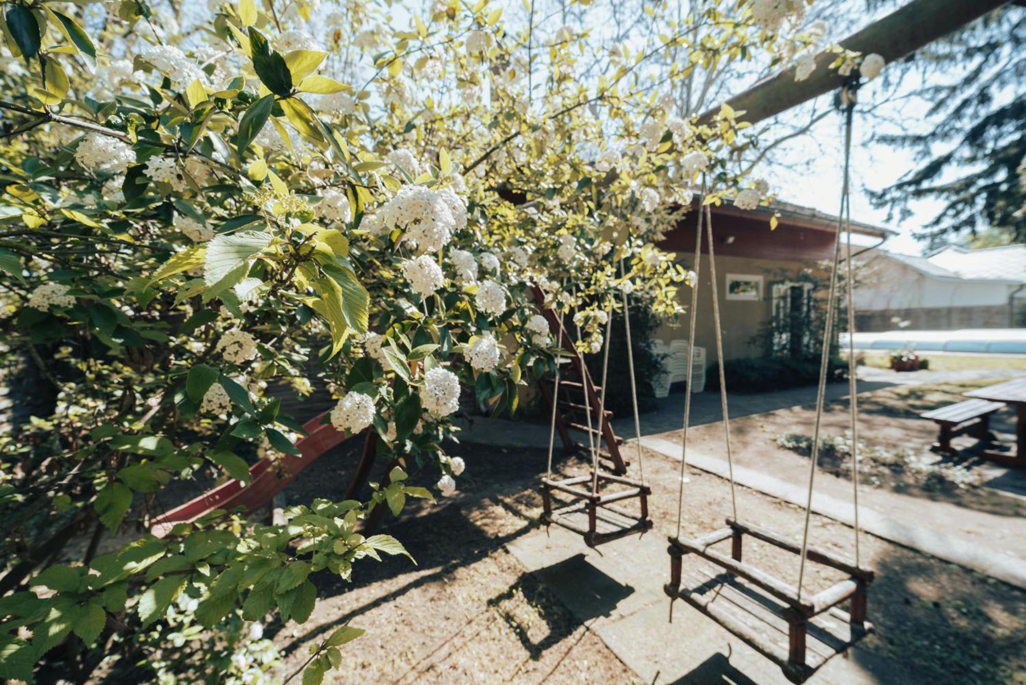 Villa Dorottya Balatonföldvár Eksteriør billede